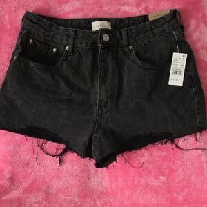 Women's (29) PacSun High Rise Festival Distressed Jean Shorts